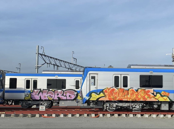 Tàu metro số 1 Bến Thành - Suối Tiên đang tập kết tại depot Long Bình bị xịt sơn vẽ bậy - Ảnh 1.