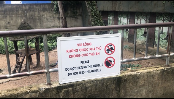 Đười ươi Thảo cầm viên hút thuốc, báo động tình trạng du khách ném đồ vào chuồng thú - Ảnh 2.