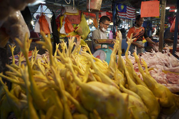 Thịt gà tăng giá dù Malaysia cấm xuất khẩu, người giàu cũng khóc vì bão giá - Ảnh 1.