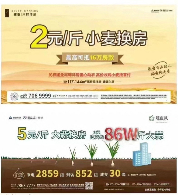 Ế ẩm, một nhà buôn bất động sản ở Trung Quốc cho trả tiền mua nhà bằng... tỏi, lúa mì - Ảnh 1.