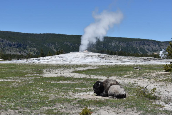 Du khách nườm nượp trở lại Vườn quốc gia Yellowstone sau trận lũ kinh hoàng - Ảnh 3.