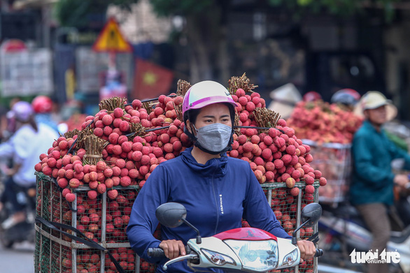 Video vải thiều rớt giá còn 5.000 đồng/kg, lãnh đạo Lục Ngạn nói gì? - Ảnh 1.