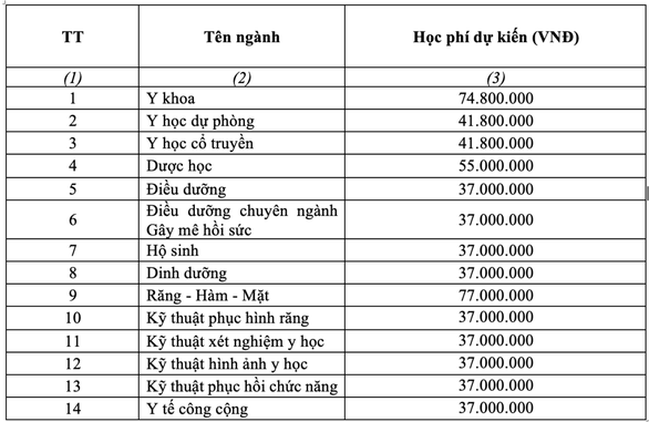 Trường ĐH Y dược TP.HCM tăng chỉ tiêu xét tuyển kết hợp chứng chỉ quốc tế - Ảnh 4.