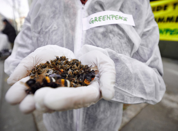 uy ban chau au cam thuoc tru sau neonicotinoids trong san pham nhap khau