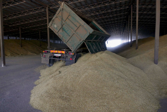 Nga tuyên bố sẵn sàng xuất khẩu hàng chục triệu tấn ngũ cốc nếu phương Tây bỏ cấm vận - Ảnh 1.