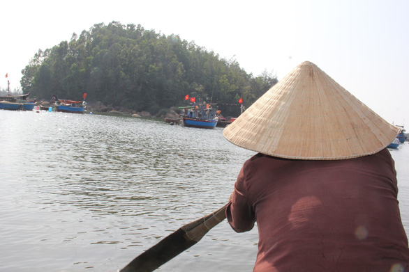 Bảo tồn đàn khỉ quý hiếm bà lão nuôi trên đảo Hòn Trà - Ảnh 3.