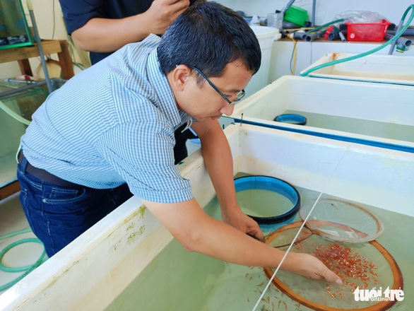 No need for Finding Nemo, in Nha Trang it was possible to breed - Photo 1.