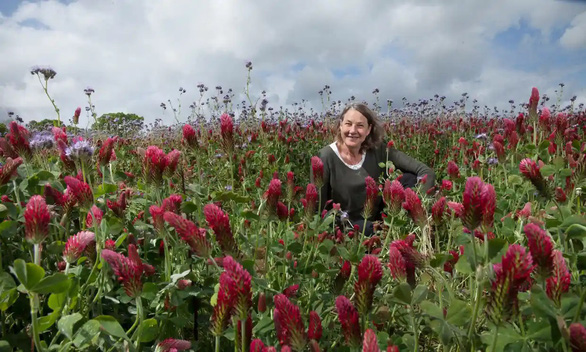 The solution of regenerative agriculture - Photo 2.