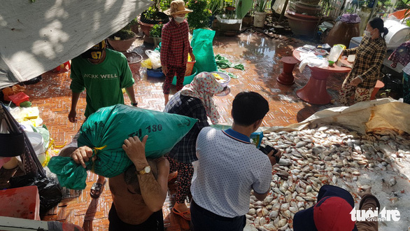 Hàng trăm tấn cá nuôi làng bè Châu Đốc chết bất thường: Nguồn nước bị ô nhiễm sinh học - Ảnh 1.