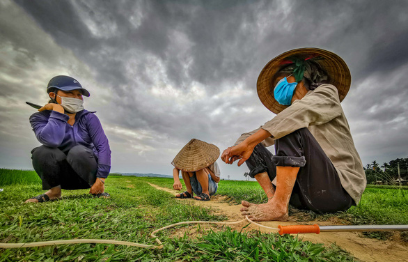 Nỏ ai biết vì sao cánh đồng làng tôi lại bị trời đánh nhiều thế mô - Ảnh 1.