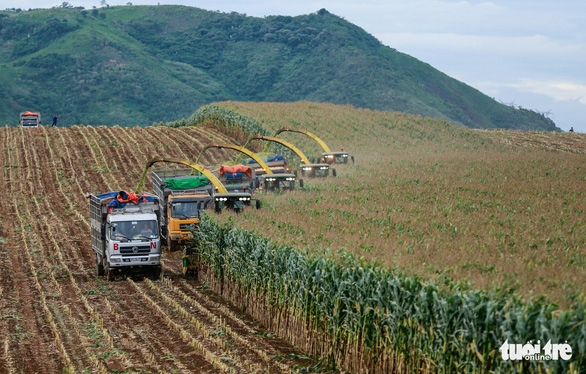 Thăm cánh đồng xứ Nghệ, Thủ tướng định hướng doanh nghiệp, nông dân phát triển ‘kinh tế xanh’ - Ảnh 3.