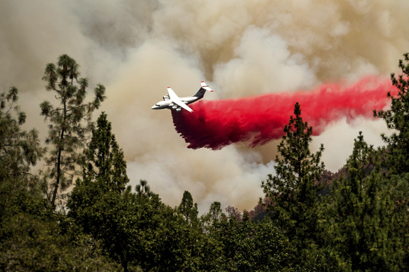 Hạn hán kỷ lục, hơn 8.000 hecta rừng cháy rụi ở California - Ảnh 8.