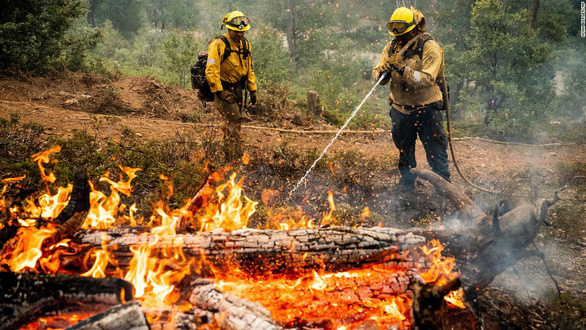 Hạn hán kỷ lục, hơn 8.000 hecta rừng cháy rụi ở California - Ảnh 3.