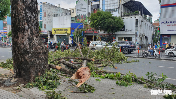 Nghe răng rắc, nhìn lên thấy nhánh cây đã rơi tới và đè 3 người chúng tôi - Ảnh 2.