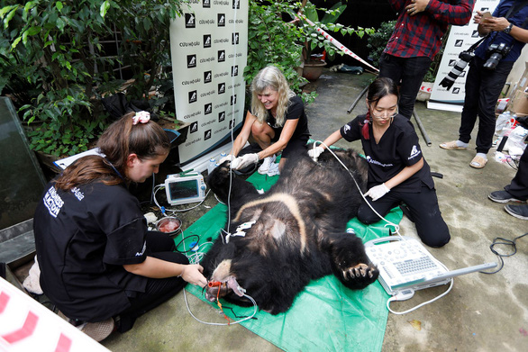 Gia đình đầu tiên tại Hà Nội tự nguyện chuyển giao 7 con gấu ngựa gần 20 năm tuổi - Ảnh 2.