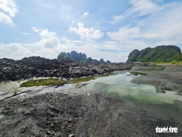 Cả ngàn mét khối bùn đen đổ trái phép cạnh vịnh Bái Tử Long - Ảnh 1.
