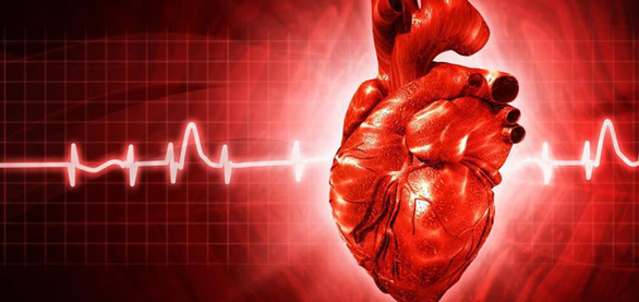 Phát hiện gene quan trọng trong chữa lành tổn thương tim - Ảnh 1.
