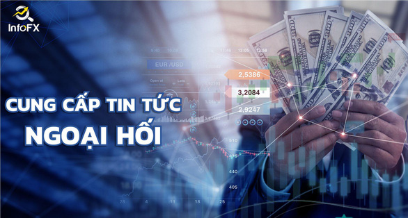 Vì sao nhà đầu tư cần một cổng tra cứu thông tin - Ảnh 3.