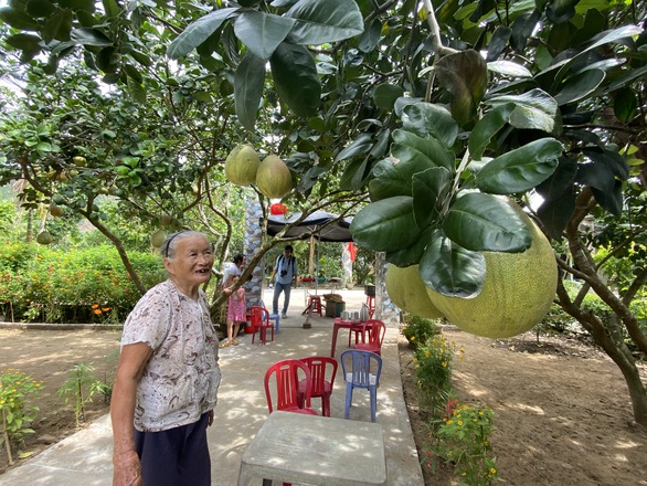Khai hội văn hóa - du lịch ở làng miệt vườn Đại Bình - Ảnh 1. Khai hội văn hóa - du lịch ở làng miệt vườn Đại Bình - Ảnh 1.
