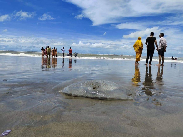 Hàng trăm con sứa khổng lồ chết bí ẩn dạt vào bờ biển Bangladesh - Ảnh 1.