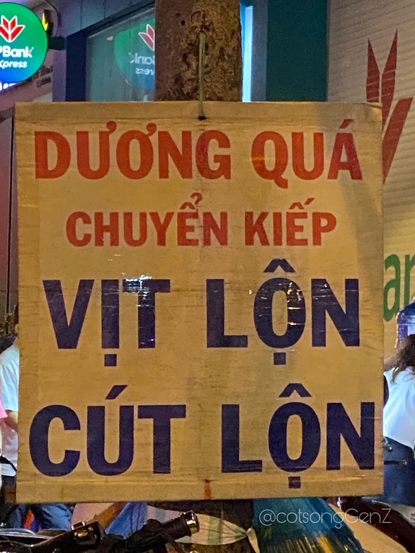 Ảnh vui 17-8: Vợ giận chồng xếp gạch xây tường ngăn đôi chiếc giường - Ảnh 6. Ảnh vui 17-8: Vợ giận chồng xếp gạch xây tường ngăn đôi chiếc giường - Ảnh 6.
