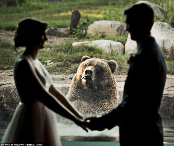 Chú gấu tỏ thái độ khi thấy cặp đôi hôn nhau - Ảnh 1.