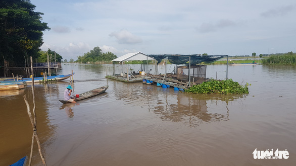 Nước lũ tràn đồng, người dân vùng biên tất bật đánh bắt cá - Ảnh 4.