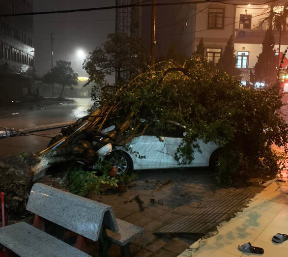 Quảng Ninh, Hải Phòng mưa rất lớn, cây gãy đổ, khuyến cáo người dân không ra đường - Ảnh 1.