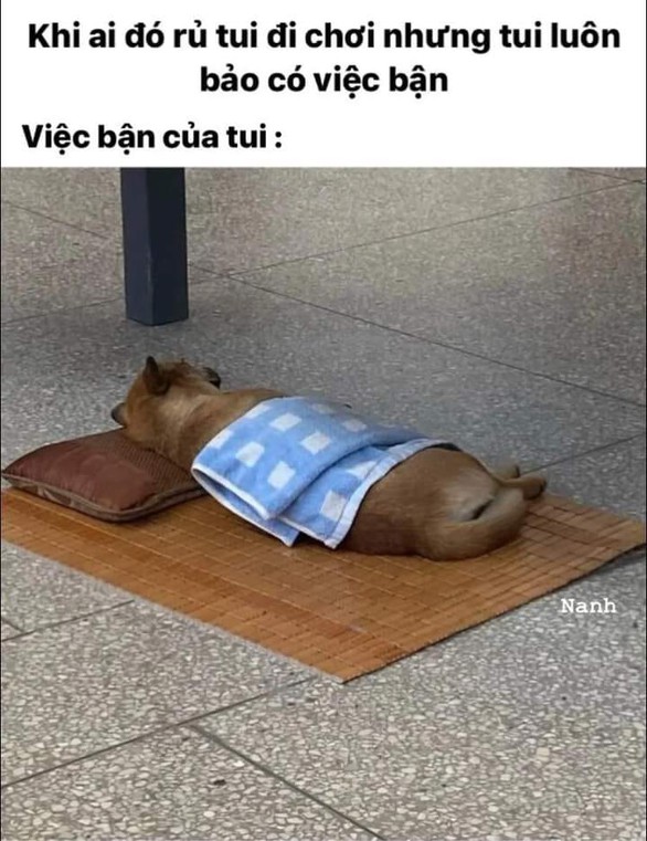 Ảnh vui 27-8: Chiếc áo thị phi nhất showbiz Việt lại lên sóng - Ảnh 6. Ảnh vui 27-8: Chiếc áo thị phi nhất showbiz Việt lại lên sóng - Ảnh 6.