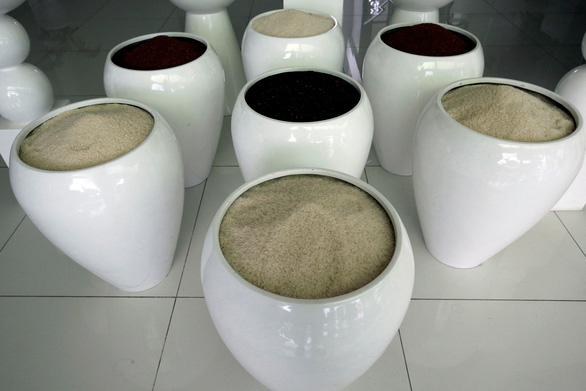 Bangladesh mua hàng trăm ngàn tấn gạo của Việt Nam - Ảnh 1.