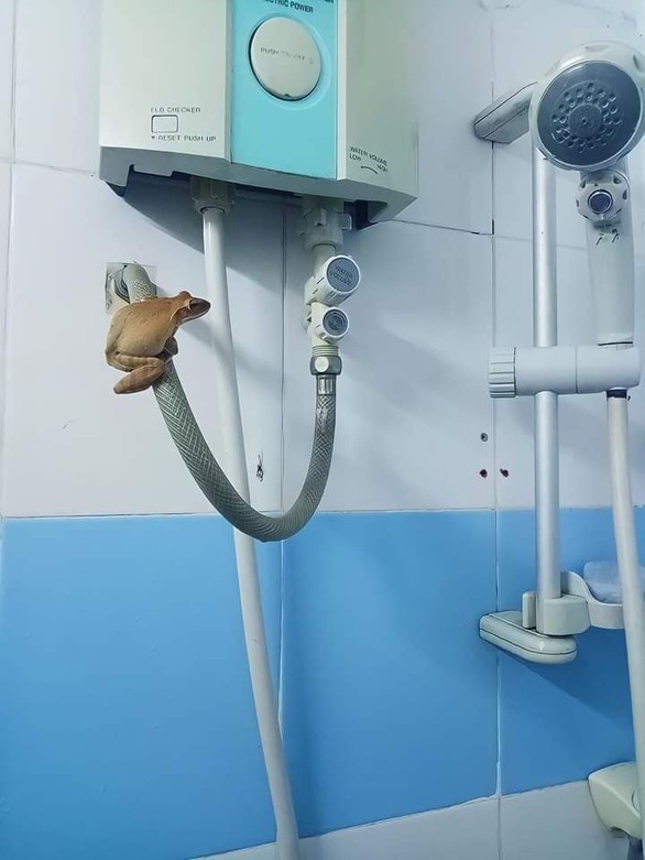 Ảnh vui 3-8: Xe tập lái đề pa leo thẳng con dốc - Ảnh 4. Ảnh vui 3-8: Xe tập lái đề pa leo thẳng con dốc - Ảnh 4.