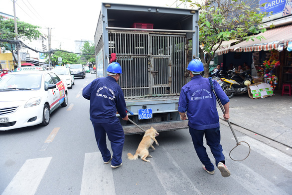 Thành lập đội bắt chó chỉ giải quyết được phần ngọn, muốn làm tận gốc, dễ mà! - Ảnh 1.