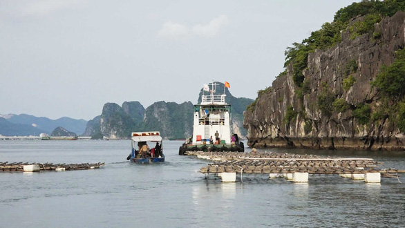 Để xảy ra nuôi thủy sản trái phép trên vịnh Bái Tử Long, 4 cán bộ bị đình chỉ công tác - Ảnh 1.