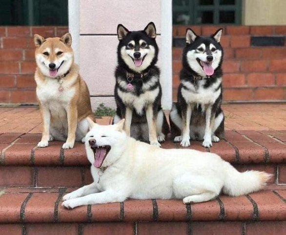Ảnh vui 5-8: Quên bóp 1 cái, khuyến mãi 2 trạm - Ảnh 4. Ảnh vui 5-8: Quên bóp 1 cái, khuyến mãi 2 trạm - Ảnh 4.