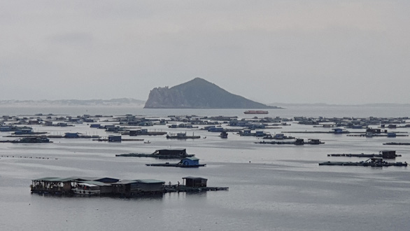 Nhà bè, kiôt du lịch đe dọa di tích Tàu không số Vũng Rô - Ảnh 1.