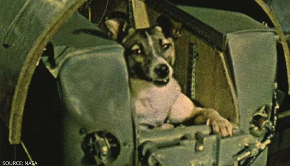 Kỳ lạ những chuyến bay vào vũ trụ của chó nhặt, mèo lạc, tinh tinh - Ảnh 1.