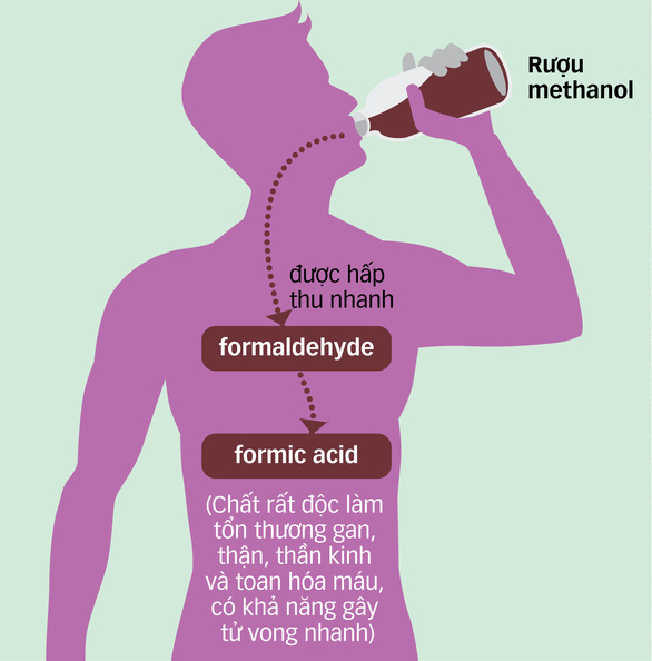 Ngộ độc rượu, tử vong nhanh - Ảnh 2.