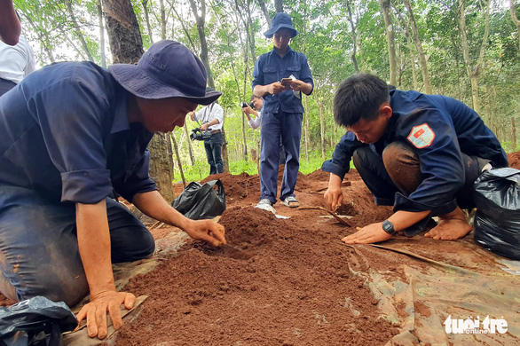 Bình Phước cất bốc 24 bộ hài cốt liệt sĩ trong vườn cao su - Ảnh 2.