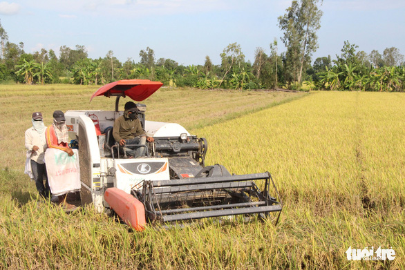 Miền Tây: Đau đầu tìm mua xăng dầu - Ảnh 1.