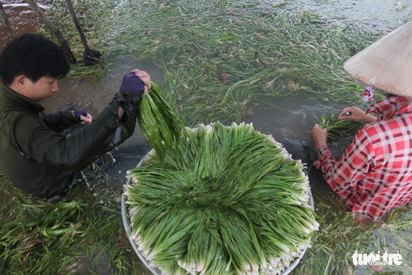 Sản vật mùa nước nổi về phố - Ảnh 1.