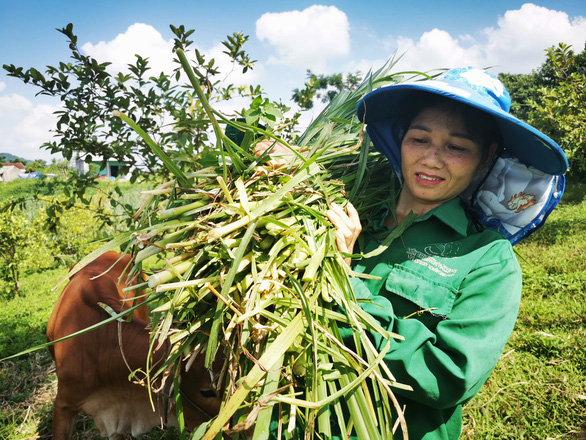 Báo Tuổi Trẻ trao 920 triệu đồng hỗ trợ nông dân Hòa Bình - Ảnh 1.