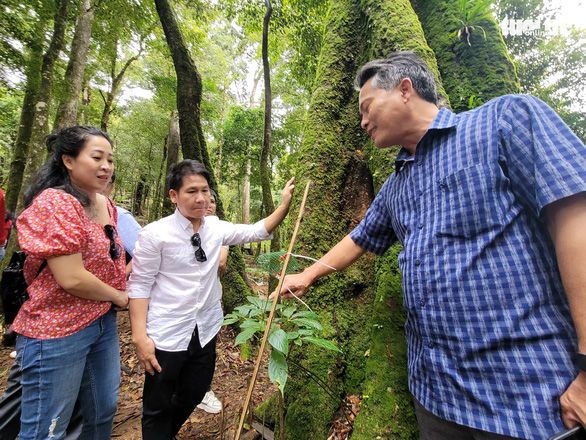 Tặng 10.000 cây giống sâm Ngọc Linh cho đồng bào dân tộc thiểu số - Ảnh 2.