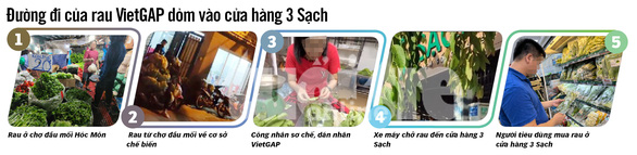Phanh phui rau sạch dỏm: Hô biến rau chợ thành rau 3 sạch! - Ảnh 3.