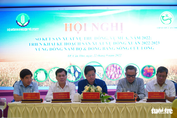 Gạo thơm, gạo chất lượng cao Việt Nam đang chiếm ưu thế xuất khẩu - Ảnh 2.