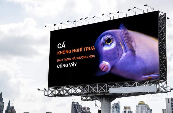 Ảnh vui 24/9: Thông báo mở cửa xuyên trưa sáng tạo như Bảo tàng Hải dương học - Ảnh 1. Ảnh vui 24/9: Thông báo mở cửa xuyên trưa sáng tạo như Bảo tàng Hải dương học - Ảnh 1.