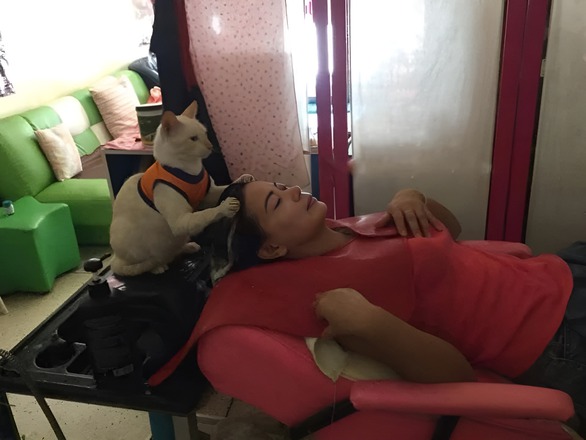 Ảnh vui 24/9: Thông báo mở cửa xuyên trưa sáng tạo như Bảo tàng Hải dương học - Ảnh 2. Ảnh vui 24/9: Thông báo mở cửa xuyên trưa sáng tạo như Bảo tàng Hải dương học - Ảnh 2.