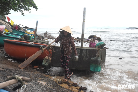 Dân Phú Yên hối hả vớt cả triệu con tôm hùm giống chạy bão số 4 - Ảnh 3. Dân Phú Yên hối hả vớt cả triệu con tôm hùm giống chạy bão số 4 - Ảnh 3.