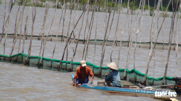 ‘Trữ lũ’ trên 88.000ha để cải tạo đất và tăng thu nhập cho nông dân - Ảnh 1.