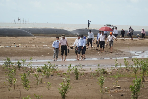 Bến Tre: 18km bờ biển sạt lở, cần hơn 1.400 tỉ đồng làm bờ kè - Ảnh 3. Bến Tre: 18km bờ biển sạt lở, cần hơn 1.400 tỉ đồng làm bờ kè - Ảnh 3.