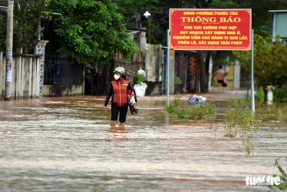 Nước từ đầu nguồn cuồn cuộn đổ về, hàng trăm hộ dân TP Biên Hòa ngập sâu - Ảnh 4.